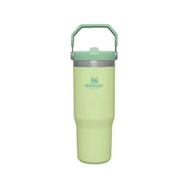 ماگ نی دار استنلی مدل Stanley Flip Straw tumbler 880 ml