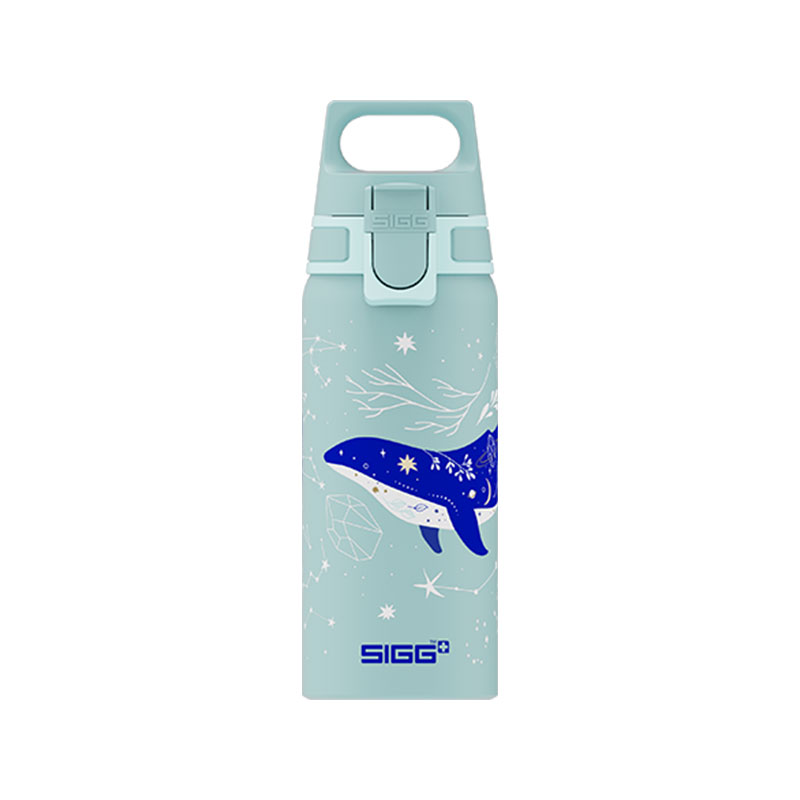 قمقمه سیگ مدل دایو - Sigg WMB ONE Dive 0.6 L