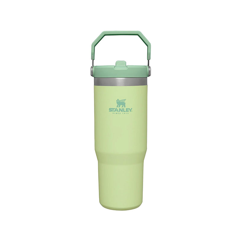 ماگ نی دار استنلی مدل Stanley Flip Straw tumbler 880 ml